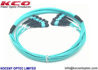 High Density Fibre Optic Patch Cable MPO 96fo 5M 10M LSZH 48 Core MTP OM3 OM4 OM5