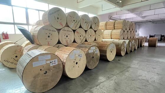 Stranded Loose Tube Light Armored SM G652D 24cores GYTS Outdoor Cable