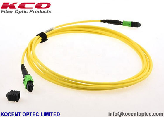 8cores 12cores 24cores MPO/APC MTP/APC Optic Fiber Patch Cord SM 9/125 Single Mode LSZH Type A / B / C