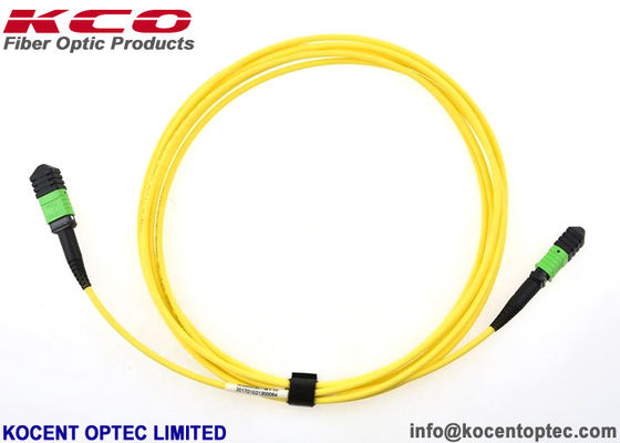 8cores 12cores 24cores MPO/APC MTP/APC Optic Fiber Patch Cord SM 9/125 Single Mode LSZH Type A / B / C
