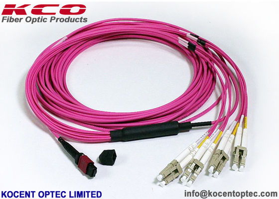 OM4 LSZH MPO MTP Patch Cord 8 12 24 Core MPO Fiber Patch Cable for Data Center