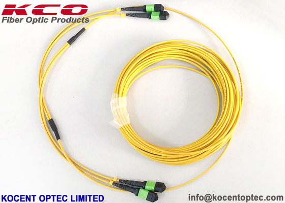 G657A1 Elite Insertion Loss APC MPO MTP Patch Cord Single Mode MPO Fiber Patch Cable