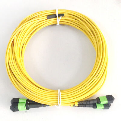 48 Fibers Single Mode G657A MPO APC MPO MTP Patch Cord and MPO Trunk Cable for Data Center