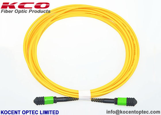 8cores 12cores 24cores MPO/APC MTP/APC Optic Fiber Patch Cord SM 9/125 Single Mode LSZH Type A / B / C