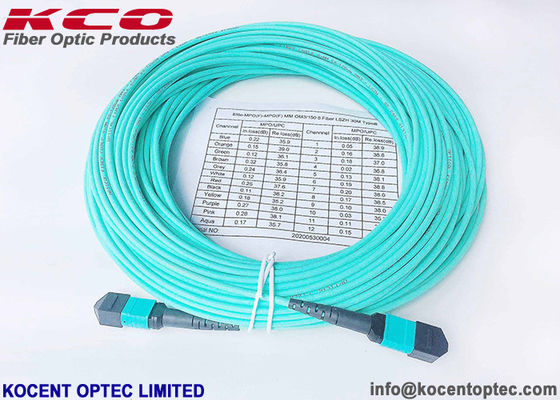 MPOP-16 16fo 24fo Low IL Optical Fiber 50/125 OM4 MPO MTP-16 Optical Fiber Trunk Patch Cord